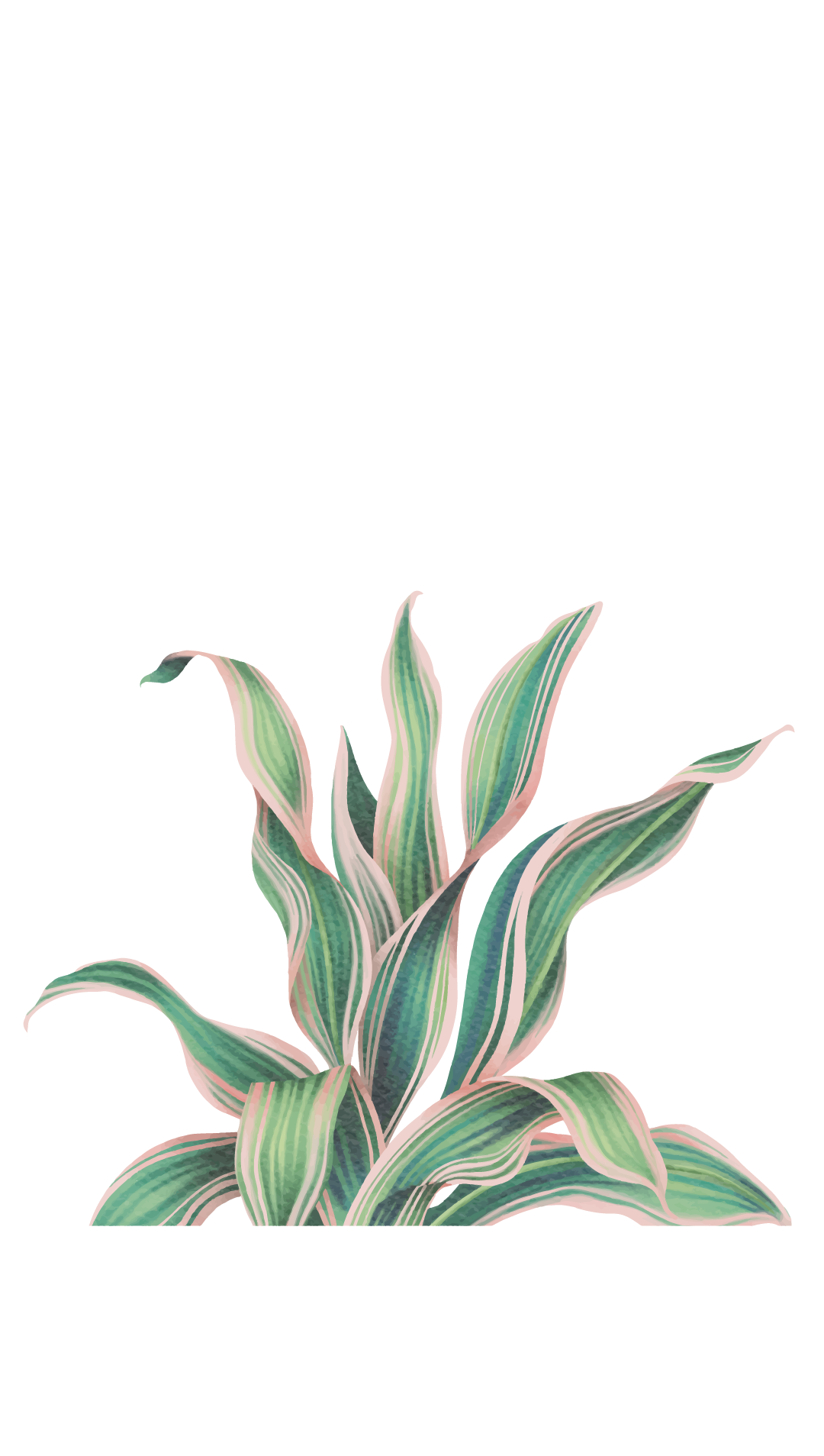 Svg%3E